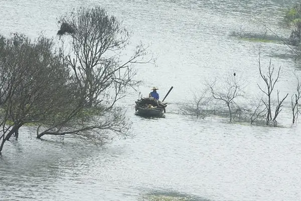 Giải Mã Giấc Mơ Thấy Người Yêu Cũ Của Người Yêu: Dấu Hiệu Tâm Lý Hay Sự Tò Mò?