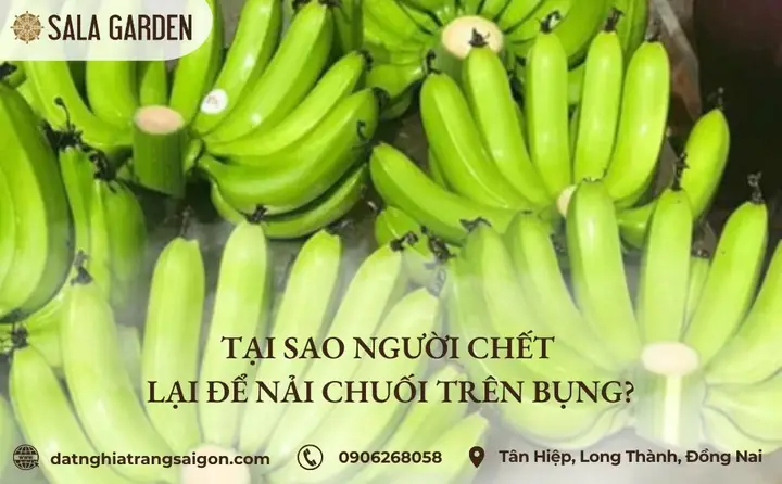 Tại Sao Người Chết Lại Cúng Chuối Xanh?