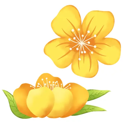 Ý Nghĩa Cốt Lõi Của Nghi Lễ Cúng Khai Trương Đầu Năm Mới