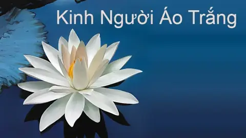 Tám Món Cúng Dường Cho Tăng Già: Cẩm Nang Phúc Đức Cho Đời Này Và Kiếp Sau