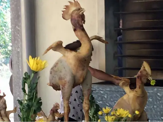 Nghệ Thuật Tạo Hình Gà Cúng: Cẩm Nang Hướng Dẫn 5 Thế Gà Cúng Rằm Độc Đáo, Trang Trọng