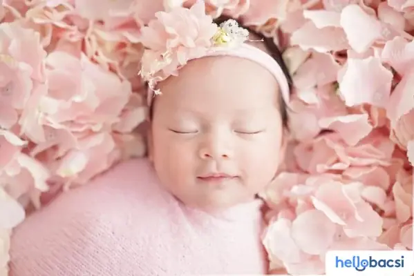 Đặt Tên Cúng Cơm Cho Bé Trai Sinh Năm Mão: Gợi Ý Ý Nghĩa Theo Tên Gia Tộc