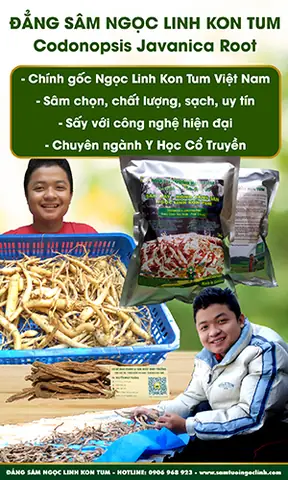Cẩm Nang Làm Chè Trôi Nước Cúng Tết Đoan Ngọ Chuẩn Vị Truyền Thống