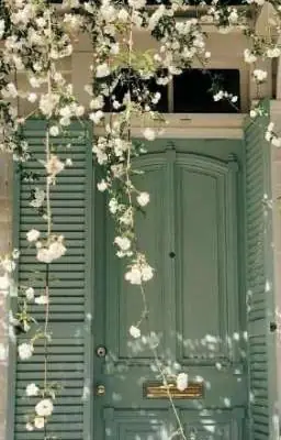 Khám Phá Sâu: Thầy Cúng Đại Chiến - Những Câu Chuyện Đáng Đọc Nhất Về Yuta & Toge