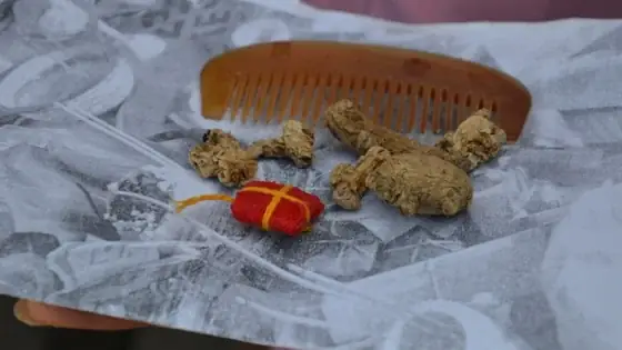 Thầy Cúng Yểm Bùa Bằng Các Con Vật: Sự Thật Đằng Sau Và Những Góc Nhìn Đa Chiều