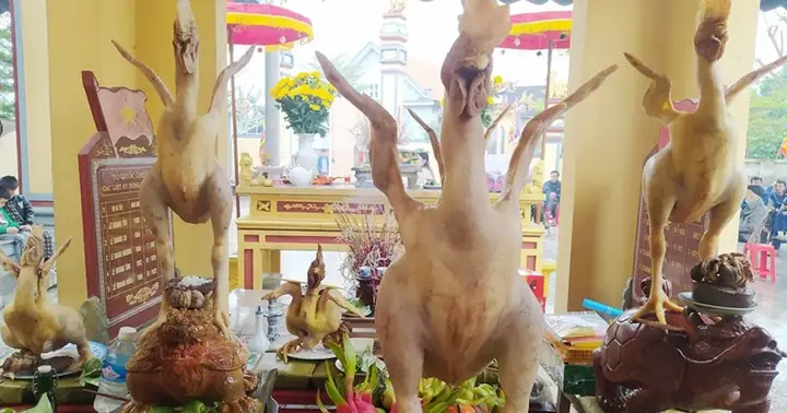 Cẩm Nang Tạo Thế Gà Cúng Đẹp: Nghệ Thuật Dâng Lên Tổ Tiên