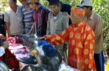 Thờ Cúng Cá Ông Làng An Bằng, Huế: Nét Văn Hóa Tâm Linh Độc Đáo Của Người Biển