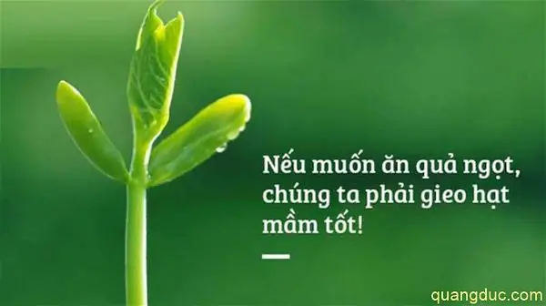 Luật Nhân Quả (thơ Của Đào Đình Hiếu, Ngạo Nhiên & Vũ Phong)