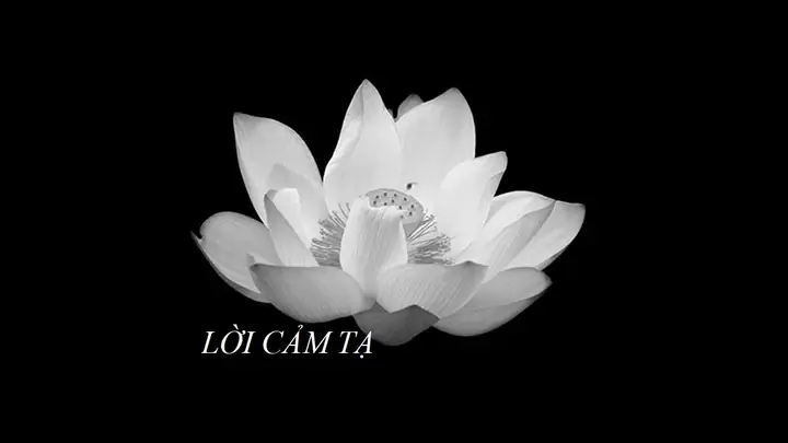 Gửi Lời Cảm Ơn Chân Thành Khi Đi Cúng Viếng Tang Lễ: Nghệ Thuật Thể Hiện Sự Tôn Trọng Và Đồng Cảm