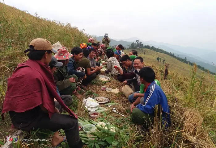 Thủ Tục Cúng Rẫy Vườn Mới Mua: Hướng Dẫn Chi Tiết Và Đầy Đủ Nhất