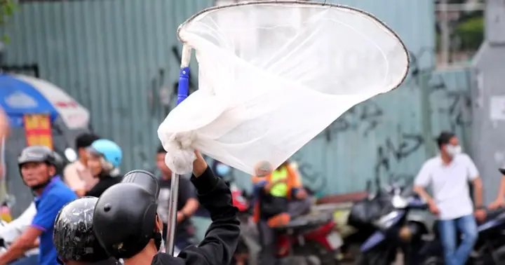 Tiền Tung Cúng Cô Hồn: Nguồn Gốc, Ý Nghĩa Và Những Điều Cần Biết