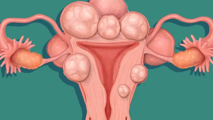 Tổng Hợp Các Khoa Cúng Chi Tiết Cho Người Mới Bắt Đầu