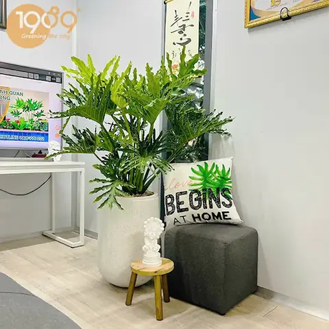 Lễ Vật Cúng Động Đất: Những Mâm Cầu Cần Chuẩn Bị Cho Việc Khởi Công Xây Dựng