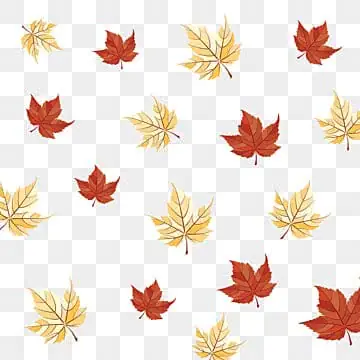 Trái Cây Cúng Png: Quy Tắc Chọn Lọc Và Ý Nghĩa Tâm Linh Trong Nền Văn Hóa Á Đông