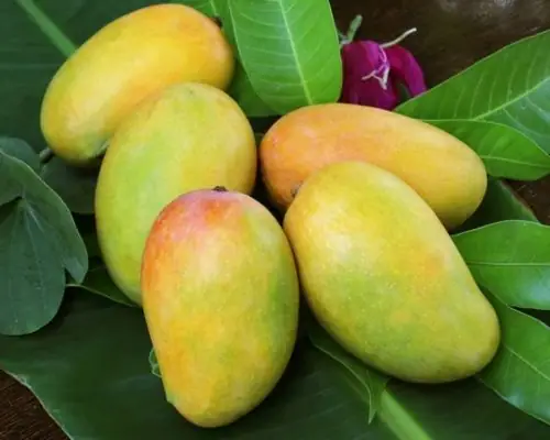 Cẩm Nang Chọn Trái Cây Cúng Rằm: 8 Loại Quả Hút Tài Lộc, Mang Bình An Về Nhà