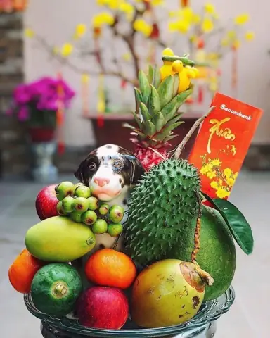 So Sánh Top 5 Dịch Vụ Cung Cấp Trái Cây Hoa Cúng Rằm Giao Tận Nơi Uy Tín Nhất