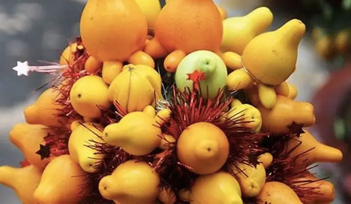 Trái Dư Thờ Cúng Có Ăn Được Không? Giải Đáp Chi Tiết Và Những Điều Cần Biết