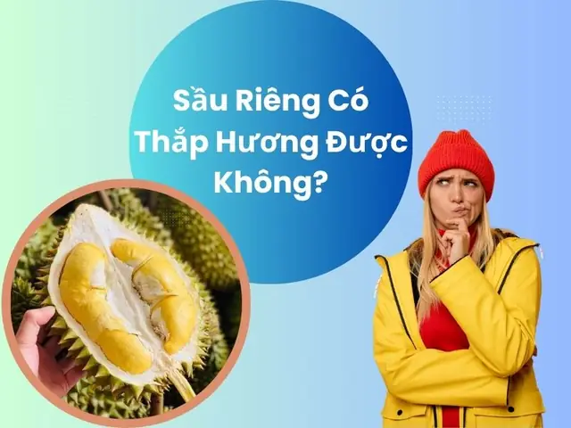 Top 5 Món Tráng Miệng Sầu Riêng Ngon, Béo, Mềm Đáng Thử Nhất 2024