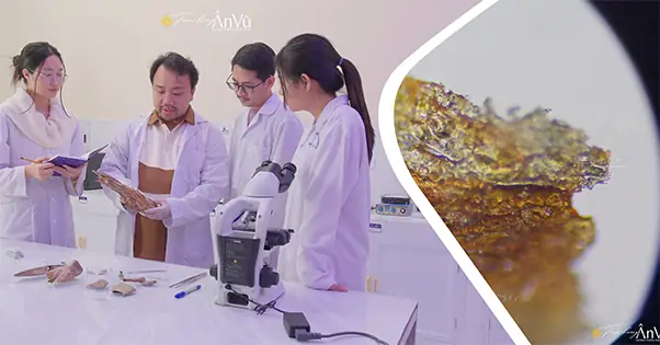 Vai Trò Của Trầm Hương Trong Thờ Cúng: Ý Nghĩa, Cách Dùng Và Lưu Ý