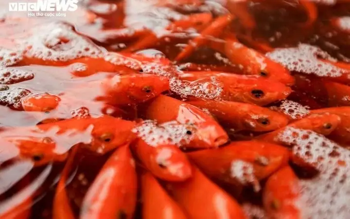 Đánh Giá Chi Tiết Top 5 Tranh Cá Chép Cúng Ông Táo Chuẩn Phong Thủy, Giá Tốt Nhất 2026