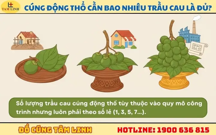 Chuẩn Bị Trầu Cau Cúng Động Thổ: Quy Tắc Số Lượng Và Cách Bày Trí Chuẩn Phong Tục