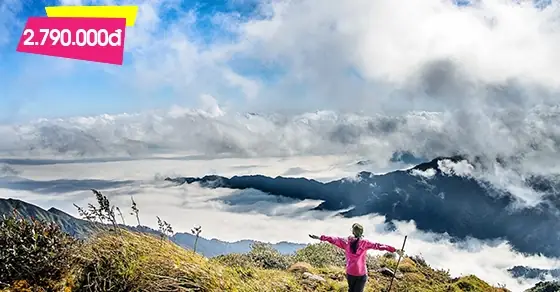 Cẩm Nang Chinh Phục Đỉnh Lùng Cúng: Kinh Nghiệm Trekking Từ A-z Cho Người Mới