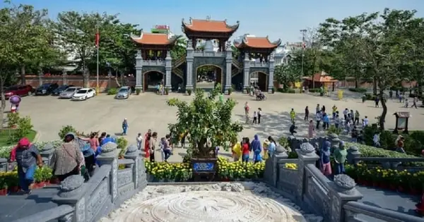 Mách Bạn 7+ Loại Cây Ra Hoa Cúng Rằm Đẹp, Dễ Trồng, Ý Nghĩa Nhất