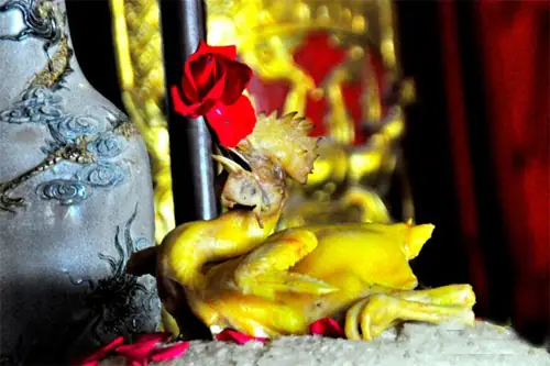 Tìm Hiểu Ý Nghĩa Thú Vị Của: Lợn Quay Ra, Gà Quay Vào