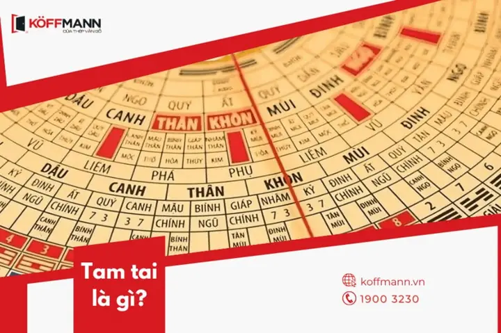 Chi Tiết Về Tuổi Quý Dậu Nữ Và Cách Cúng Tam Tai