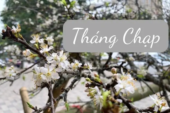 Văn Cúng Giỗ Bằng Âm Hán Ngày 23 Tháng Chạp: Nguồn Gốc, Ý Nghĩa Và Bài Cúng Chuẩn