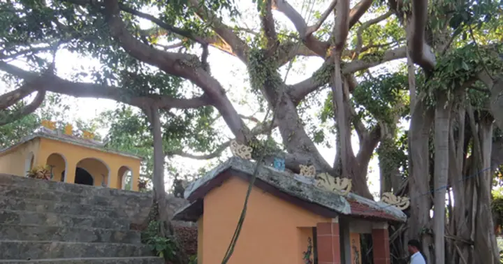 Văn Cúng Nghĩa Trủng: Tổng Hợp Bài Khấn Chuẩn Và Những Điều Cần Biết