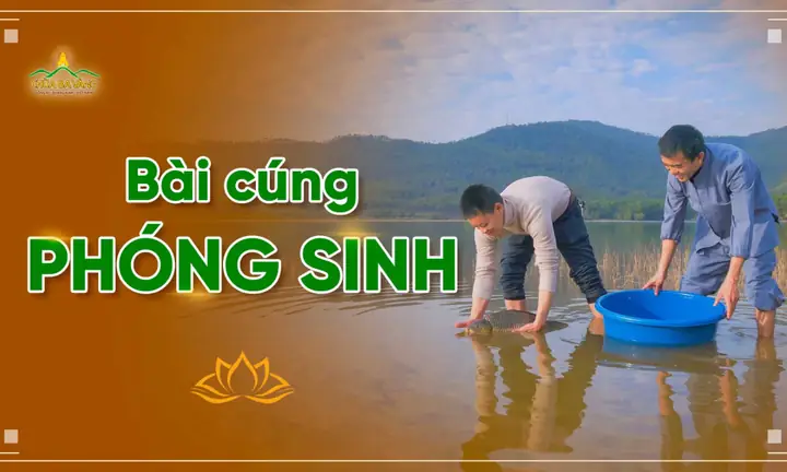 Văn Cúng Phóng Sinh Cuối Năm: Ý Nghĩa, Bài Văn Chuẩn Và Những Điều Cần Biết