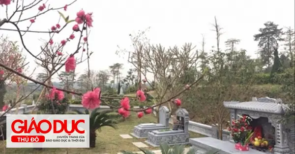 Cẩm Nang Chuẩn Bị Lễ Vật Và Văn Khấn Tảo Mộ Tết Nguyên Đán Chi Tiết Nhất