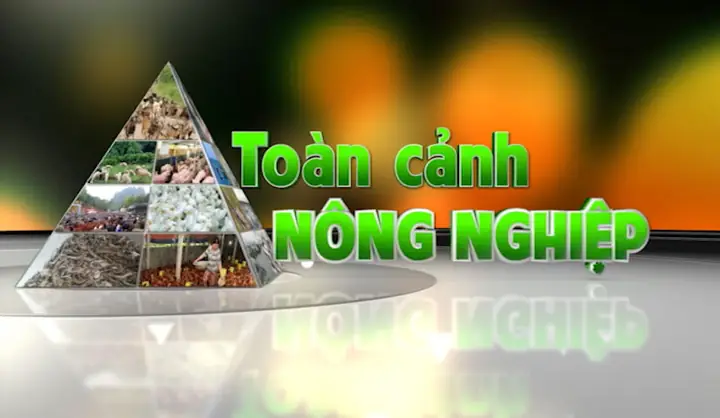 Văn Hóa Cúng Đình: Nét Đẹp Tâm Linh Và Giá Trị Văn Hóa Của Người Việt