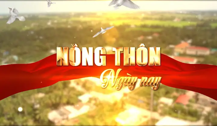 Văn Hóa Cúng Đình: Nét Đẹp Tâm Linh Và Giá Trị Văn Hóa Của Người Việt