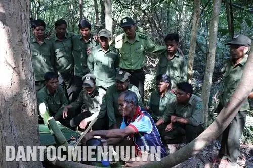 Văn Hóa Thờ Cúng Tây Nguyên: Nét Đẹp Tâm Linh Đặc Sắc Của Đại Ngàn