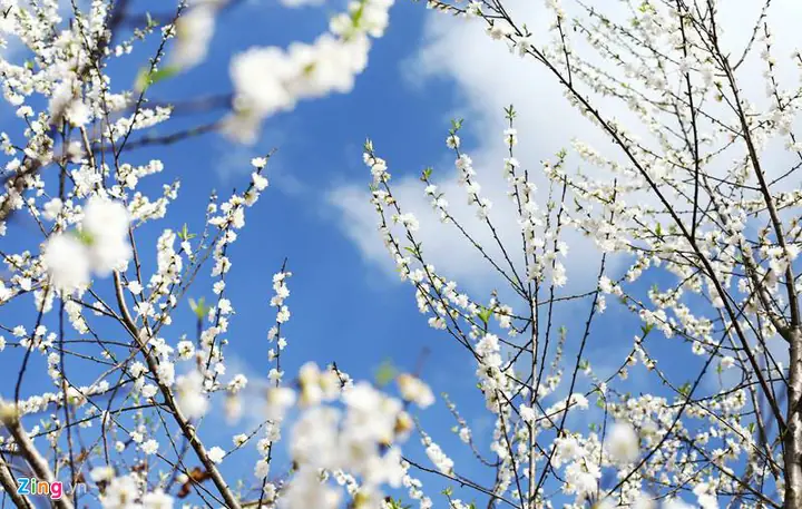 Văn Khấn Cúng Rước Hương Linh Chồng Ngày 30 Tết: Hướng Dẫn Chi Tiết Và Ý Nghĩa Tâm Linh