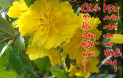 Văn Sớ Cúng Gia Tiên: Cẩm Nang Toàn Tập Về Nguồn Gốc, Ý Nghĩa Và Cách Viết