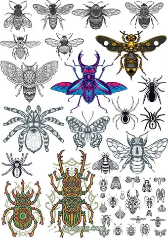 Top 7 Vector Họa Tiết Con Bọ Cúng Đẹp, Ý Nghĩa Cho Dịp Lễ