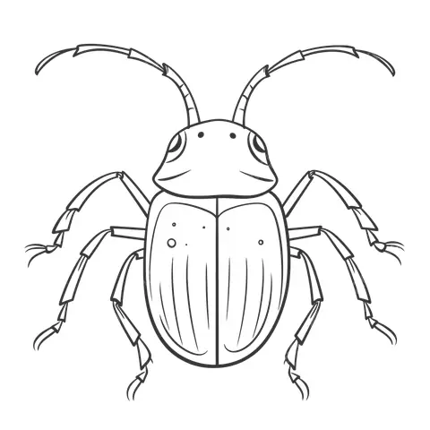 Top 7 Vector Họa Tiết Con Bọ Cúng Đẹp, Ý Nghĩa Cho Dịp Lễ