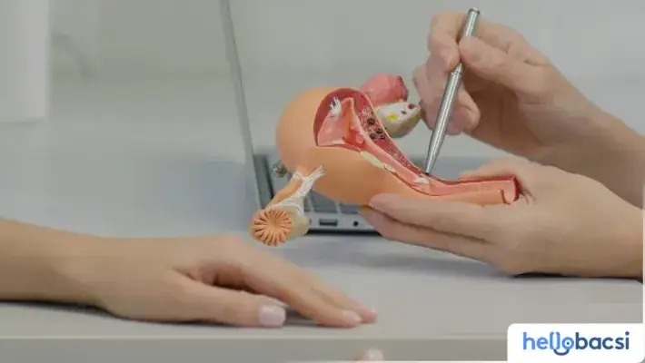 Ví Cúng Là Gì? Ý Nghĩa, Các Loại Ví Cúng Phổ Biến Và Cách Chọn