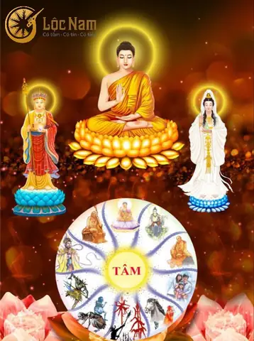 Phật Và Bồ Tát Ai Cao Hơn?