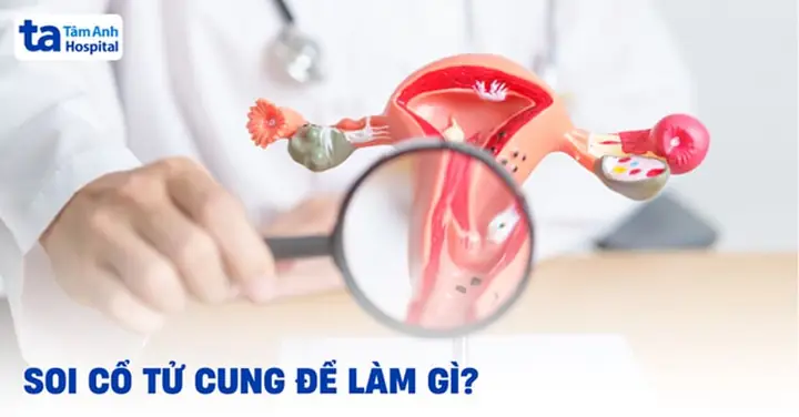 Ý Nghĩa Của Việc Cúng Các Bác Và Những Điều Cần Biết
