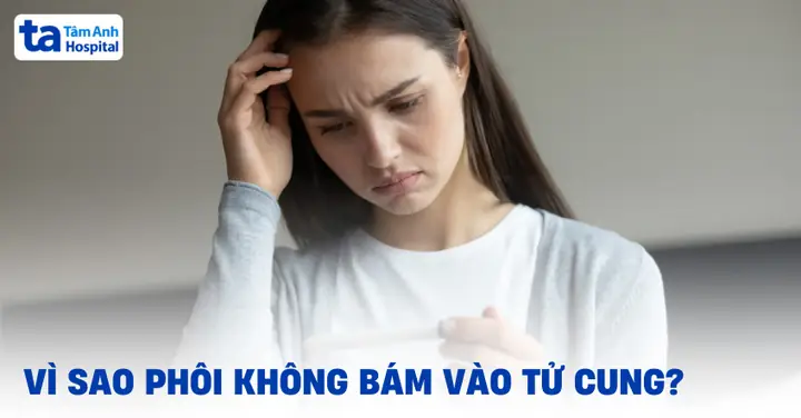 Ý Nghĩa Của Việc Cúng Các Bác Và Những Điều Cần Biết
