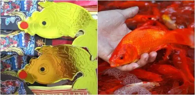 Vì Sao Thờ Cúng 2 Con Ngựa Trước Nhà: Giải Mã Ý Nghĩa Phong Thủy Và Văn Hóa