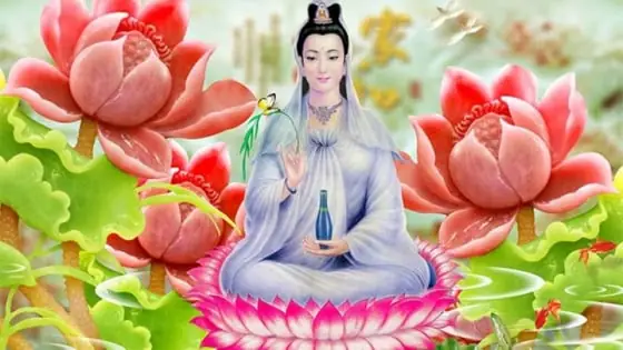 Vợ Của Ngài Cúng Dường Nhà Sư Thịt Quả Báo: Giải Mã Ý Nghĩa Và Bài Học Sâu Sắc