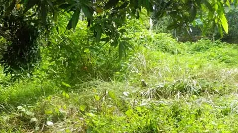 Vụ Án Thầy Cúng Giết Nữ Sinh: Phân Tích Góc Nhân Văn Và Bài Học Từ Hiện Thực Đời Sống