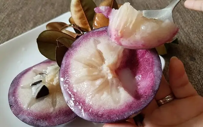 Cúng Quả Vú Sữa Cho Quan Âm: Giải Đáp Chi Tiết Và Những Lưu Ý Tâm Linh Quan Trọng