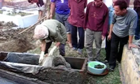 Vua Phù Mộ Cúng Thần Trùng: Nguồn Gốc, Ý Nghĩa Và Các Tín Ngưỡng Cổ Xưa