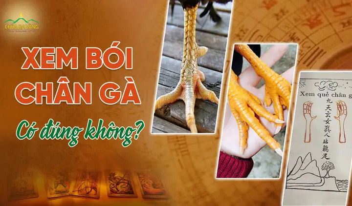 Xem Bói Chân Gà Cúng Rằm Tháng Giêng: Giải Mã Ý Nghĩa Và Những Điềm Báo
